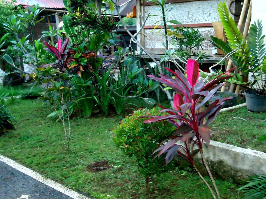 Dewa Put Guest House Ubud Kültér fotó