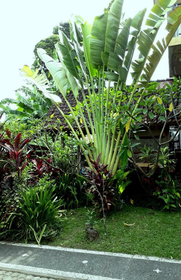 Dewa Put Guest House Ubud Kültér fotó